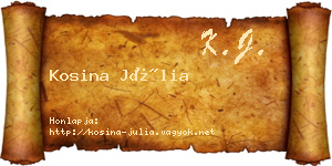 Kosina Júlia névjegykártya